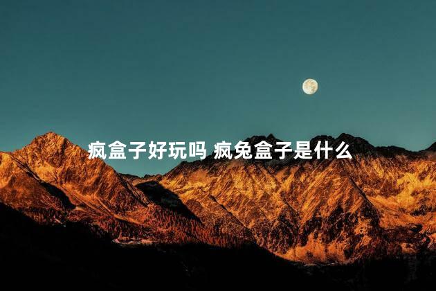 疯盒子好玩吗 疯兔盒子是什么